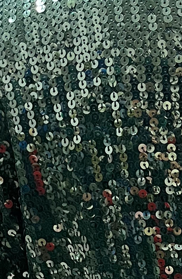 Sequined Jacket